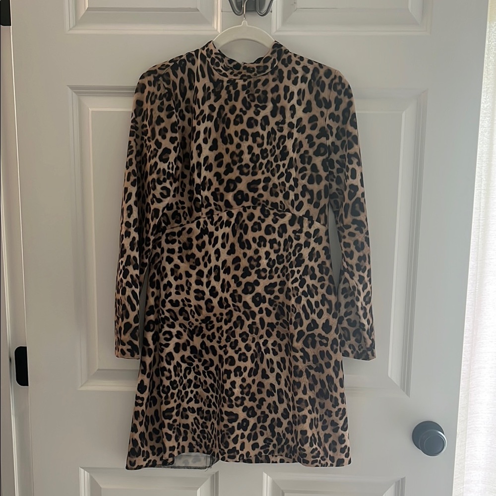 Zara Leopard Print Long Sleeve Dress